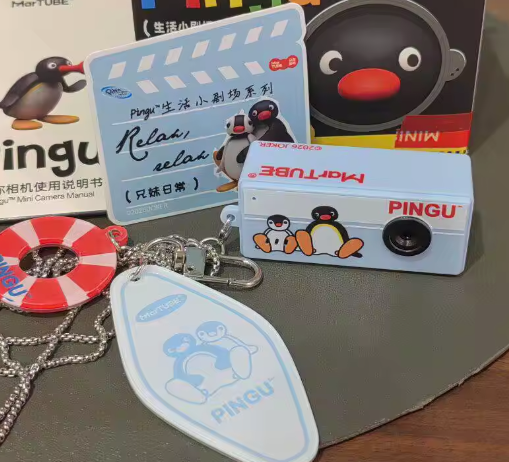Pingu Pocket Camera