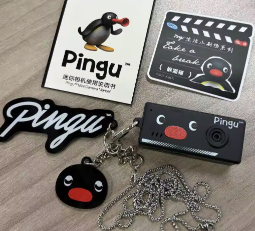 Pingu Pocket Camera